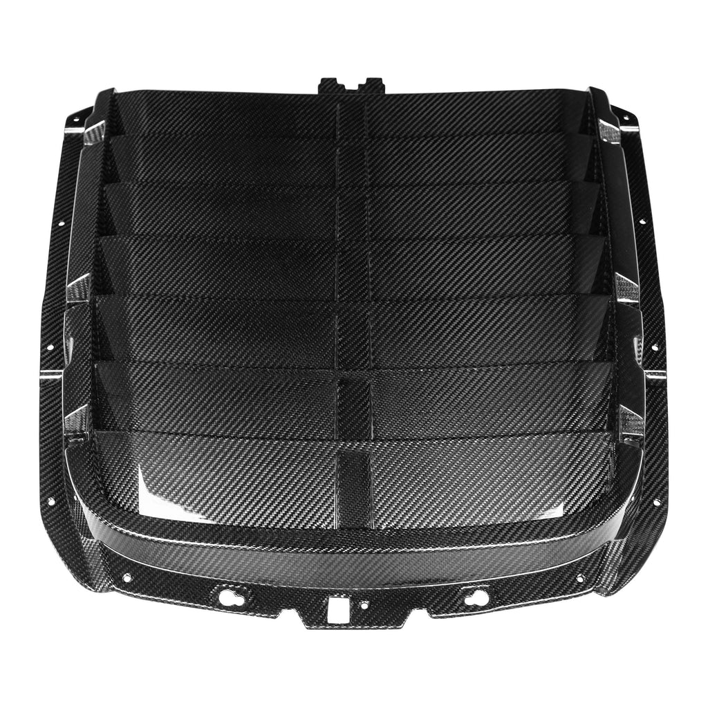 Feral Industries 2020-2022 Ford Mustang Carbon Fiber Hood Vent (GT500)